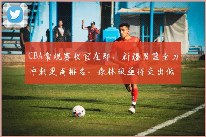 CBA常规赛收官在即,新疆男篮全力冲刺更高排名,森林狼亟待走出低谷