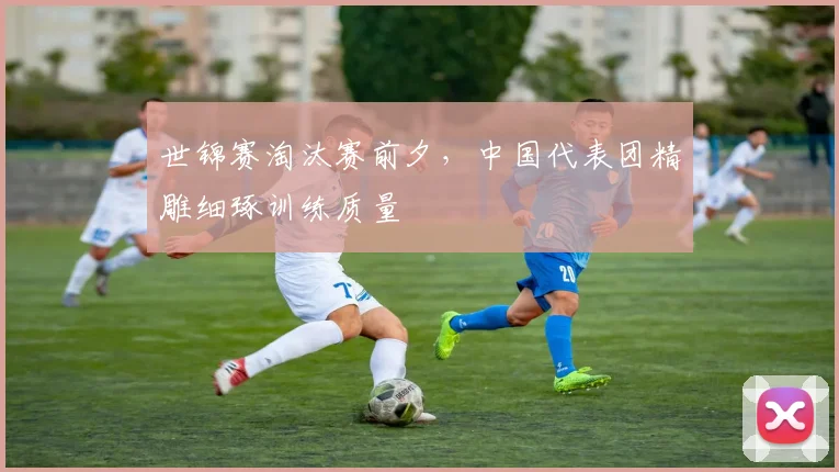 世锦赛淘汰赛前夕，中国代表团精雕细琢训练质量