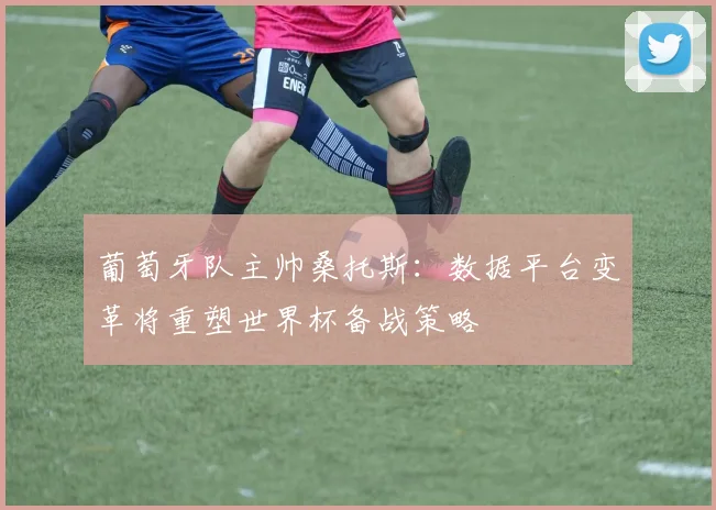 葡萄牙队主帅桑托斯：数据平台变革将重塑世界杯备战策略
